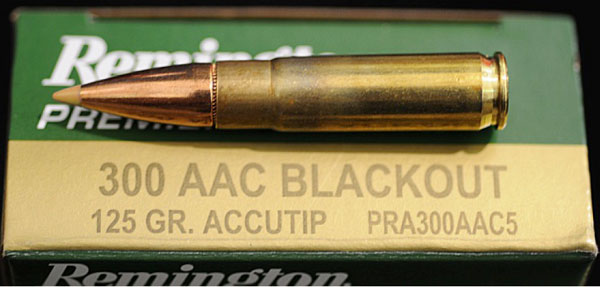 300 AAC BLK ammo