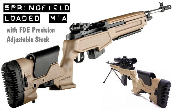 Springfield M1A gunsmith armorer's course AGI