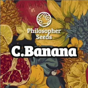 C.Banana