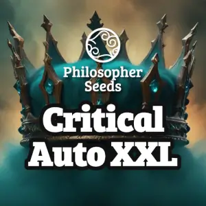 Critical Auto XXL