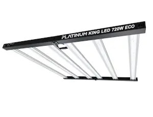 Platinum King Eco 720W LED