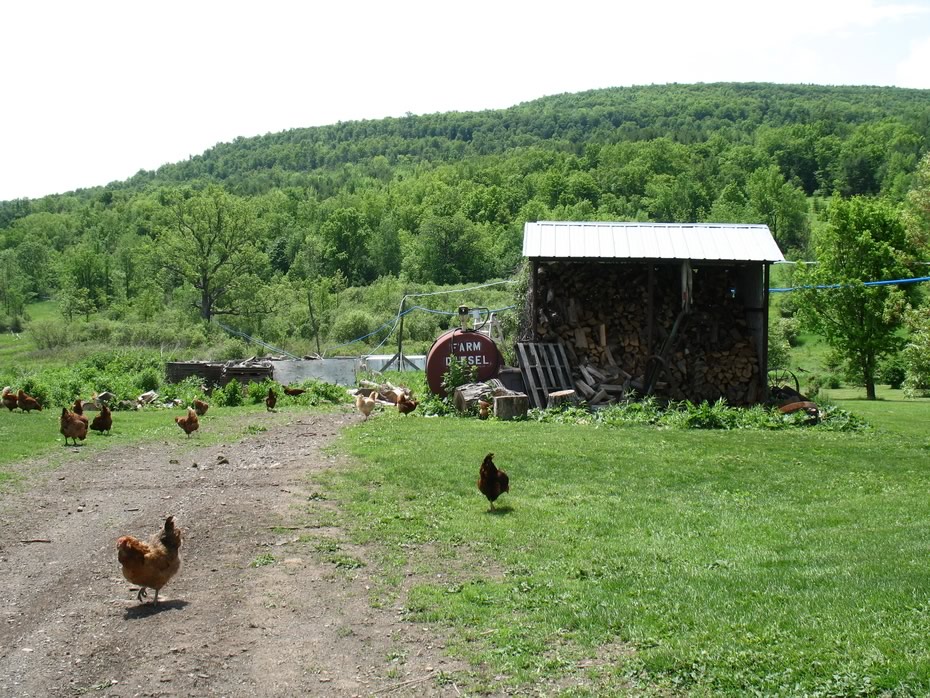 farm_tour_hill_towns_21.jpg