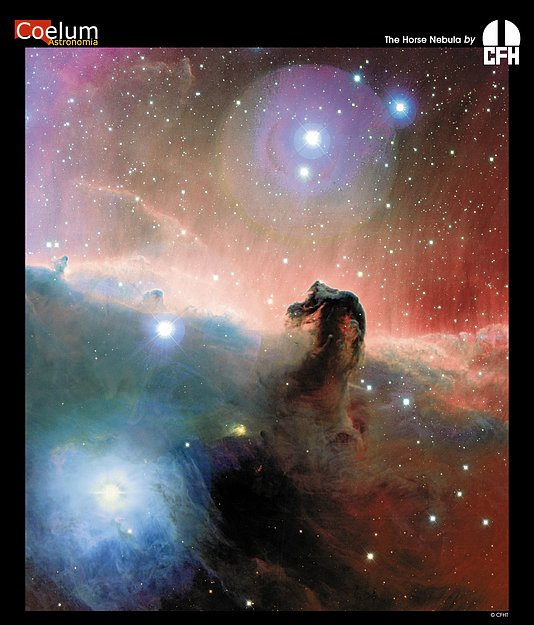 http://antwrp.gsfc.nasa.gov/apod/image/0310/horsehead_cfht_big.jpg