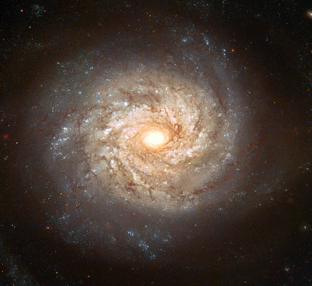 http://antwrp.gsfc.nasa.gov/apod/image/0311/ngc3982_hst_big.jpg