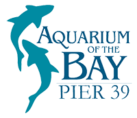 Aquarium of The Bay Events