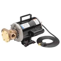 JABSCO FLEXIBLE IMPELLER PUMP, PORTABLE-120V Dock Side Utility Pump