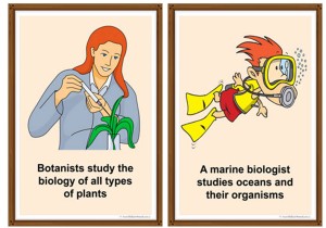 Scientists And Their Jobs Posters