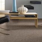 Waterproof Carpet for Basement