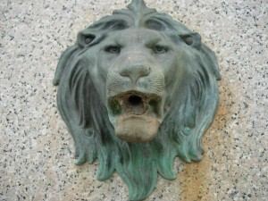 Fountain Lion Head