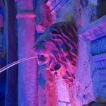 Lion Head Faux Stone Wall Fountain