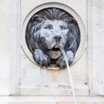 Lions Head Water Fountain