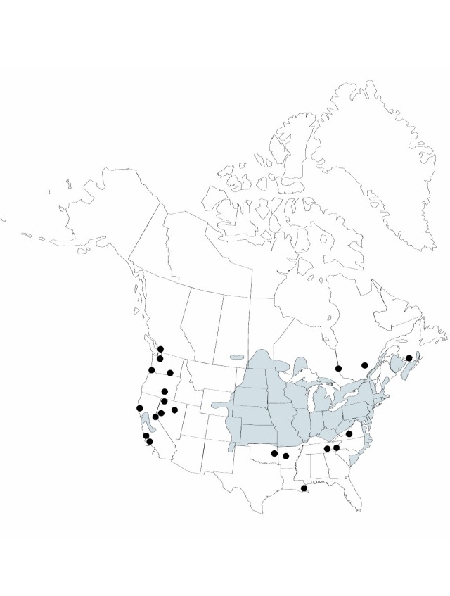 V22 464-distribution-map.jpg