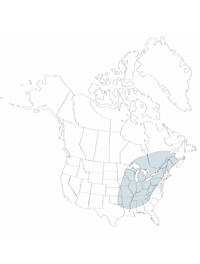 V22 218-distribution-map.jpg