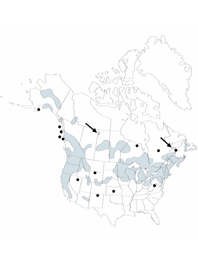 V22 38-distribution-map.jpg