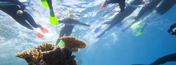 Utila snorkeling in Honduras