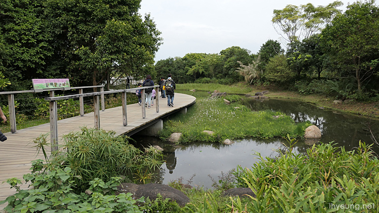 Wooden platforms lead you around the park.