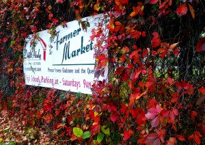 Little Italy's Fall Farmers' Market takes place on the weekends during the fall.