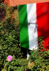 The celebrations of Italian culture in Little Italy are must-see events!