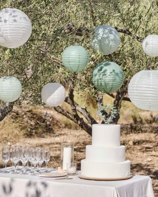 wedding paper lanterns hanging decorations