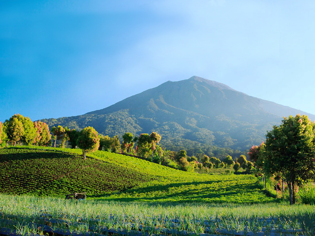 Jelajah 5 Wisata Alam dan Sejarah Terbaik di Jambi