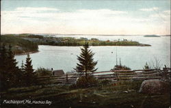 Machias Bay Postcard