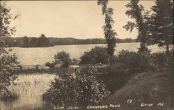 Loon Island at Crawford Pond Postcard