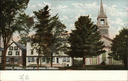 Scene on Union Common Postcard