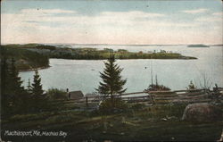 Machias Bay Postcard