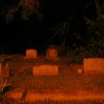 Graveyard at Night