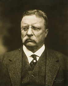 Theodore Roosevelt Quotes