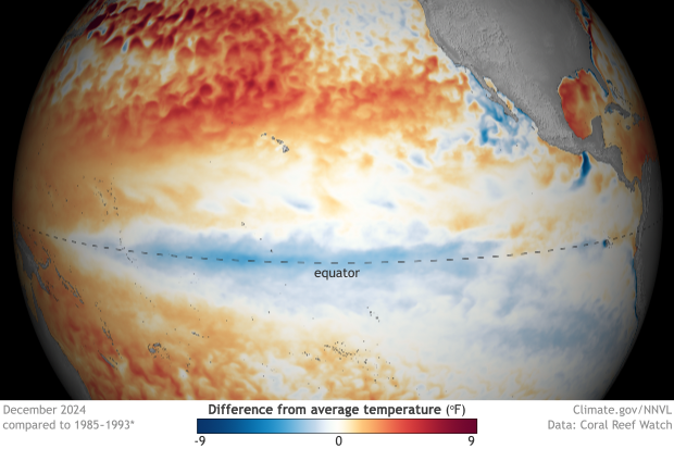 Spherical map centered on the tropical Pacific Ocean showing cooler-than-average surface temperatures at the equator waters a