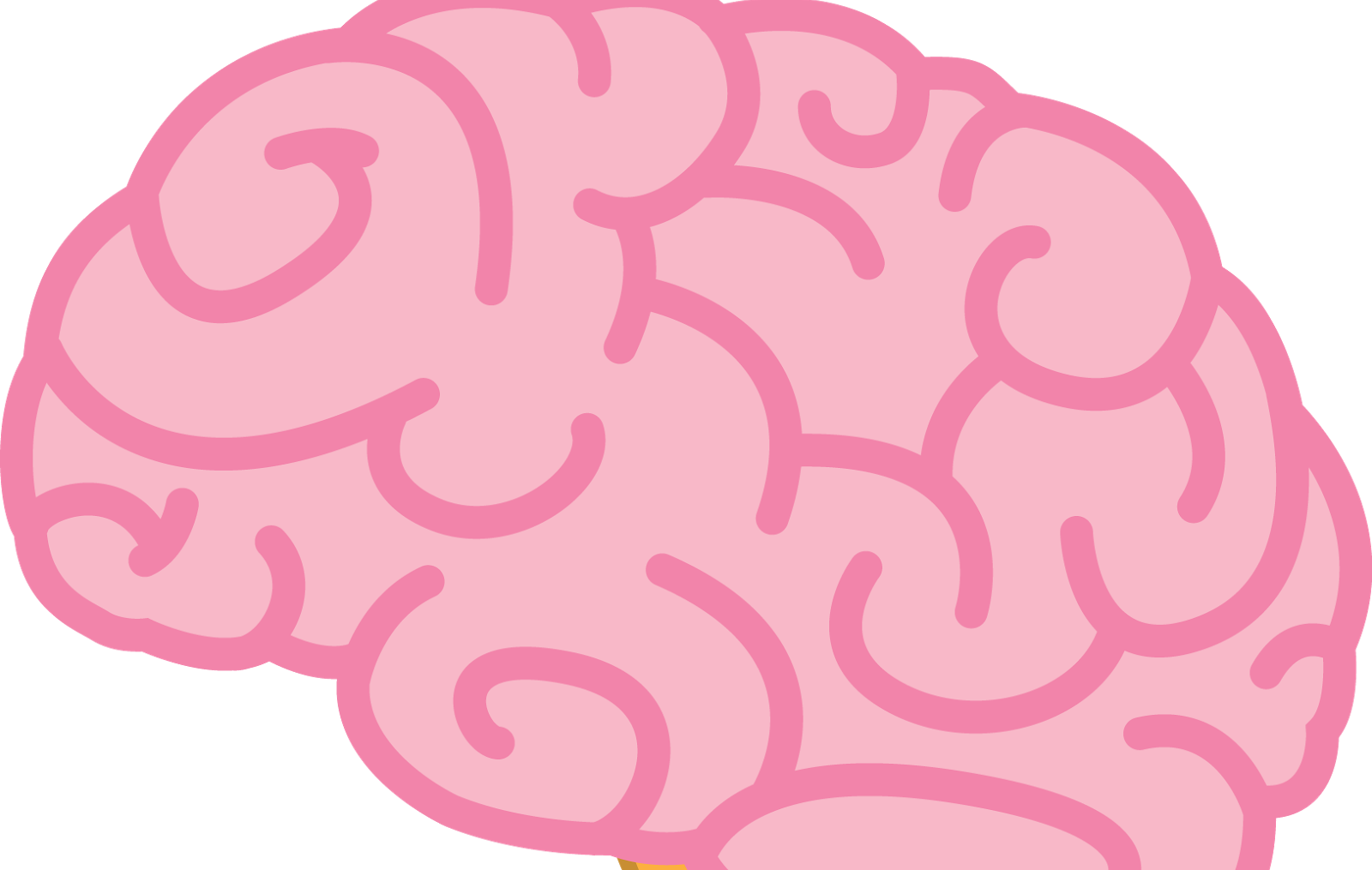 Cerebro De Idea Vector Rosa Png Cerebro Cerebro Humano Cerebro Png ... image.