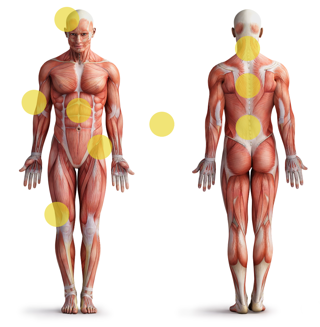 Conditions Body Map