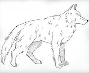 white wolf coloring pages