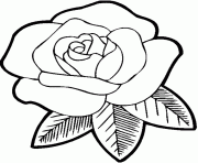 rose s for girls flowersff3f coloring pages