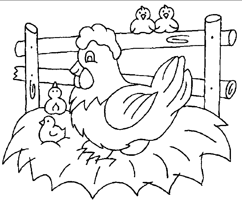 Chicken Archives - smilecoloring.com