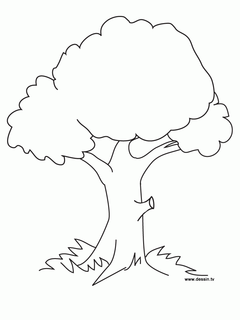 Free Printable Tree Coloring Pages For Kids