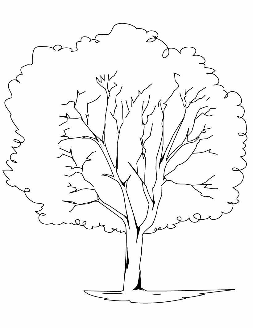 Free Printable Tree Coloring Pages For Kids