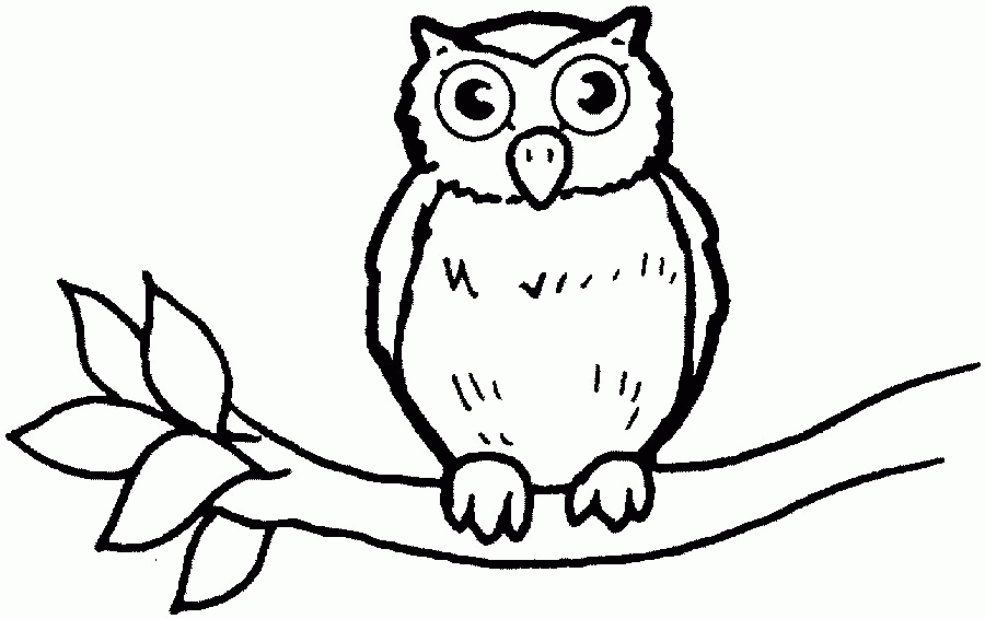 Animal Coloring Pages