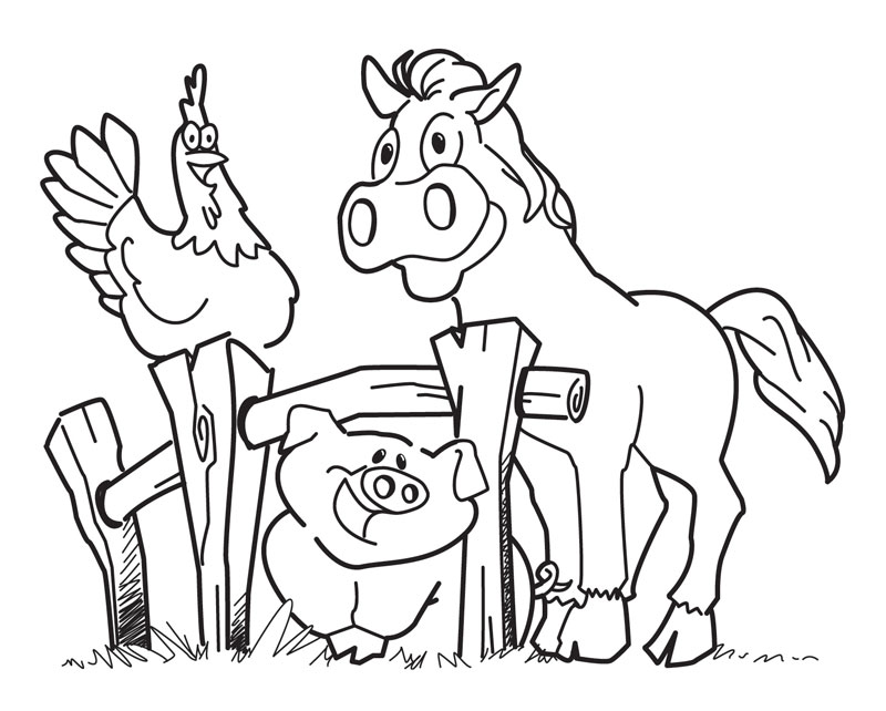 Animal Coloring Farm Animal Coloring Page Barn Yard Pigs 