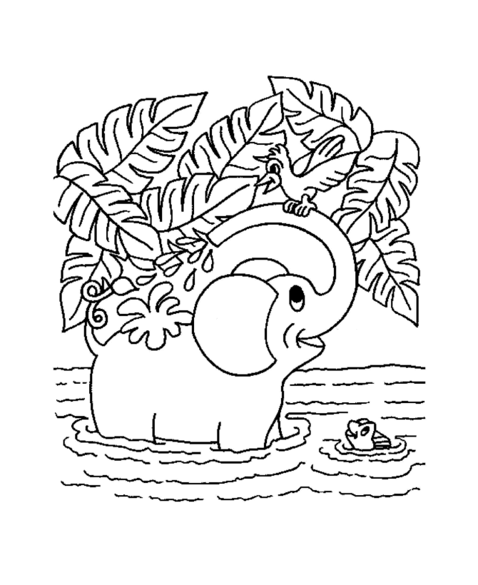 Coloring Pages