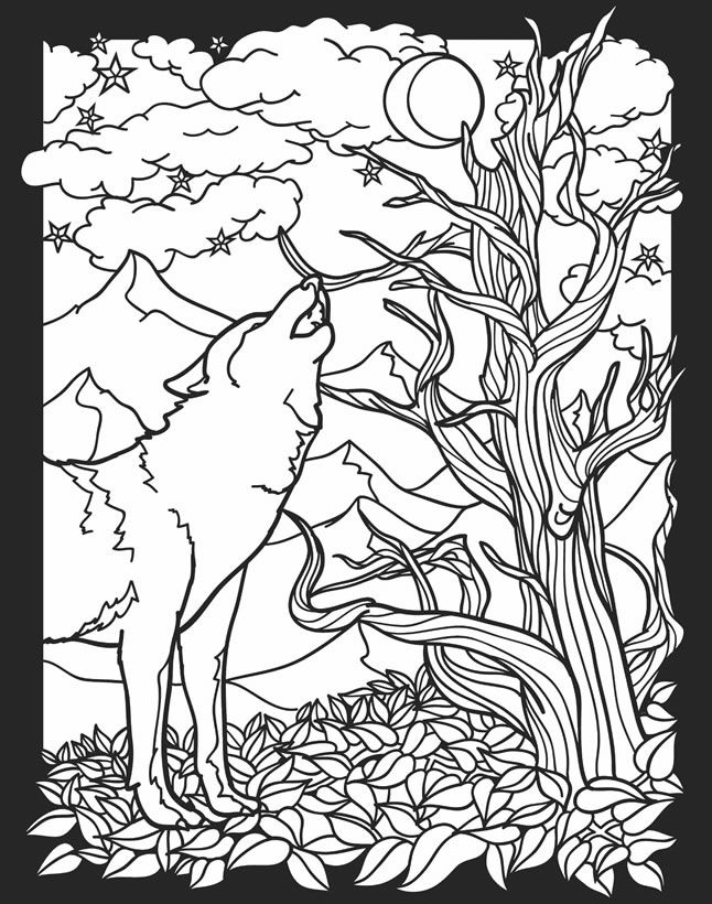 Childhood Education: Nocturnal Animals Coloring Pages Free 