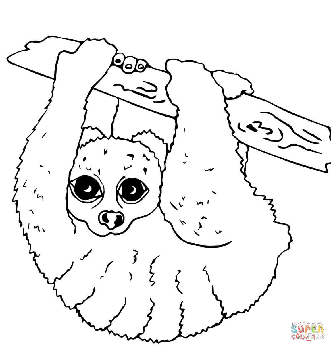 Nocturnal animals coloring pages | Free Printable Pictures