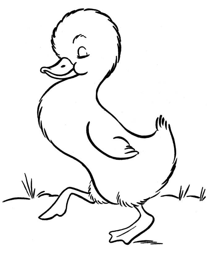 Printable baby duckling Coloring Page | HelloColoring.com 