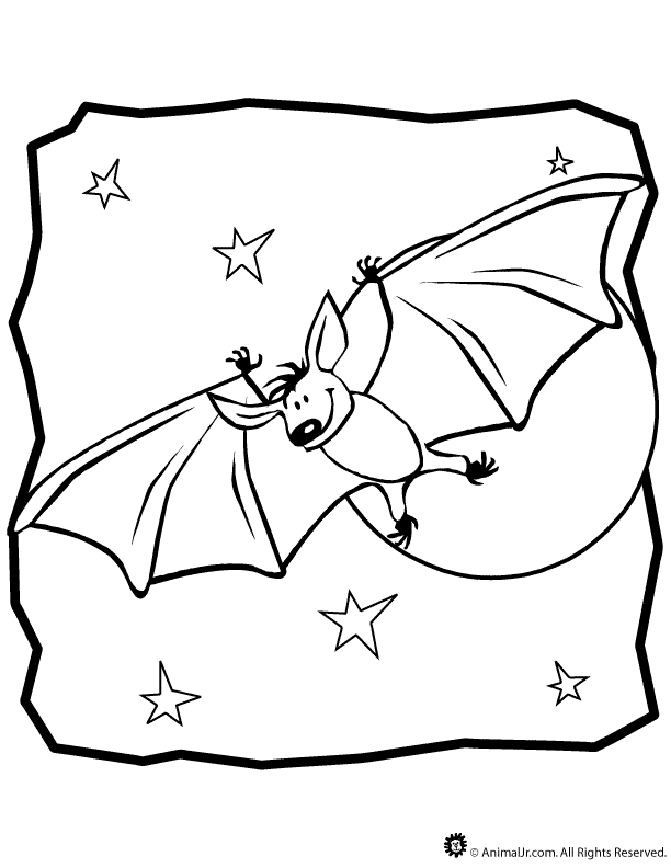 Bat Coloring Page