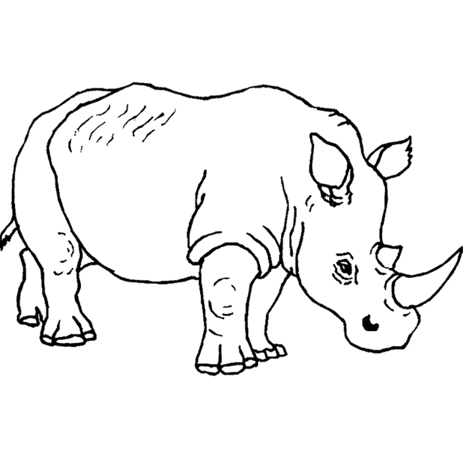 Printable 35 Wild Animal Coloring Pages 3679 - Wild Animal ...