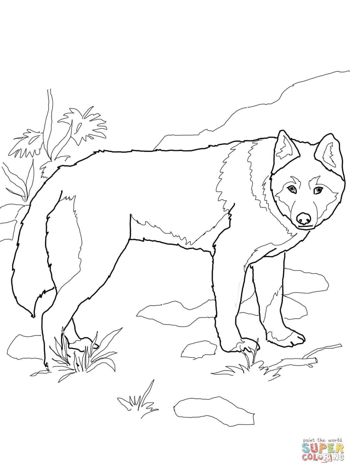 Dingo coloring pages | Free Coloring Pages