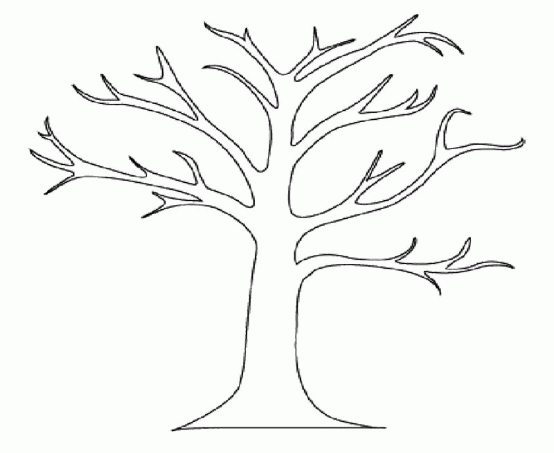 Free Printable Tree Coloring Sheets - Coloring