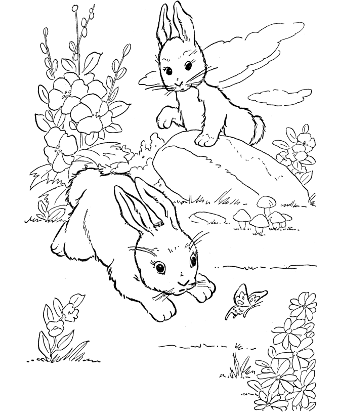 farm animal coloring pages to print - Free Coloring Pages for Kids