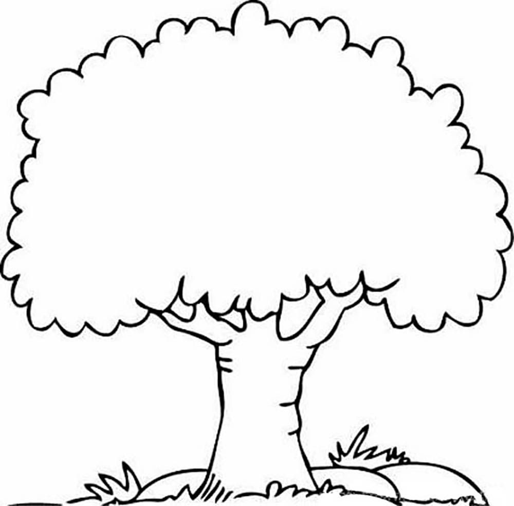 Tree Coloring - Coloring Pages for Kids and for Adults